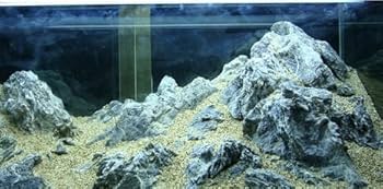 Amazon.co.jp: 水槽装飾 青龍石 形状お任せ3個(約1100g) アクア
